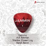 Jammin', 1 - Salman Ali Song Download
